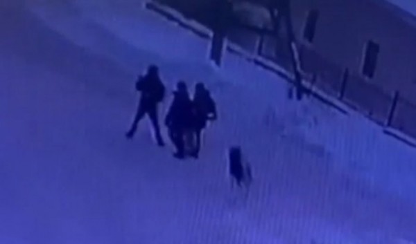 В&nbsp;Иркутске мальчика покусала домашняя собака                            
