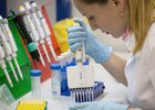 
                В 2025 году в России начнут испытывать на добровольцах новую вакцину от туберкулеза
                
            