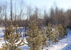 В Иркутске благоустроили берег реки Ушаковки
В Иркутске благоустроили берег реки Ушаковки