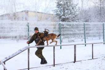 Площадку для выгула собак открыли в иркутском микрорайоне Зеленый Площадку для выгула собак открыли в иркутском микрорайоне Зеленый