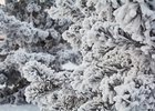 13 января в Иркутской области ожидается ухудшение погоды
13 января в Иркутской области ожидается ухудшение погоды
