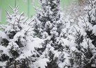 
                23 марта синоптики прогнозируют ухудшение погоды в Иркутской области
                
            
